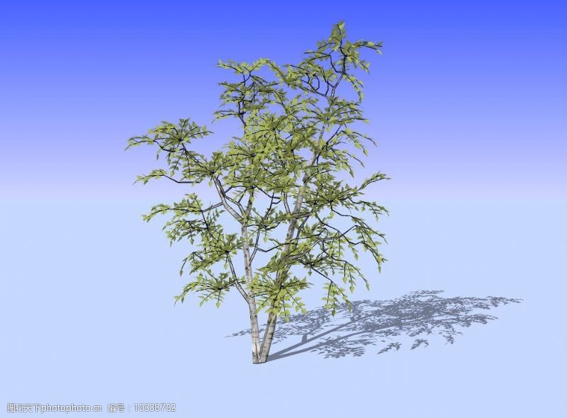 精选杂树3D模型图片