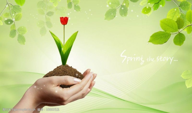 嫩绿背景手托花朵创意环保海报图片