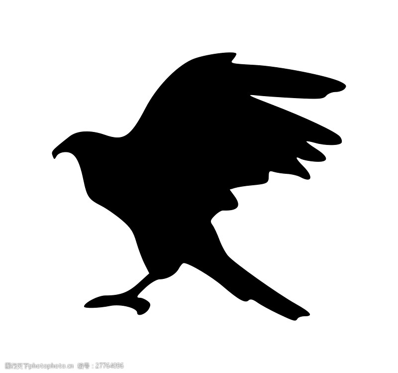 黑色的剪影鹰的轮廓9