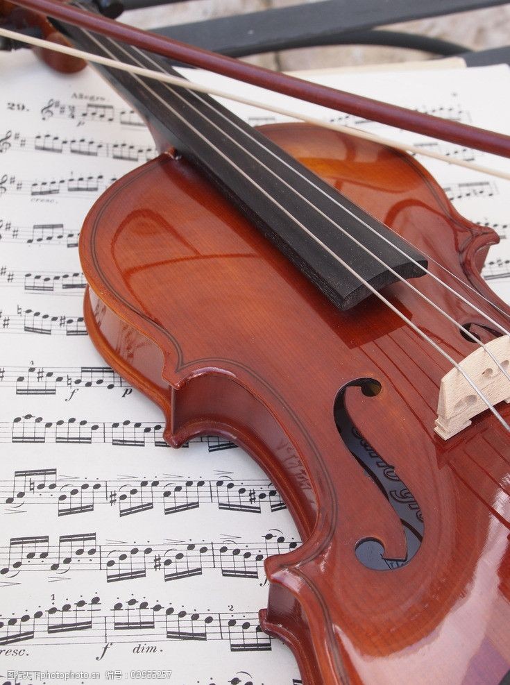 音乐与舞蹈小提琴与五线谱图片