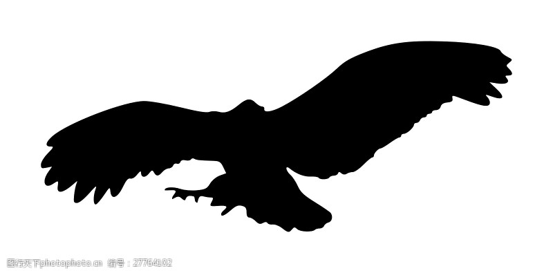 黑色的剪影鹰的轮廓7