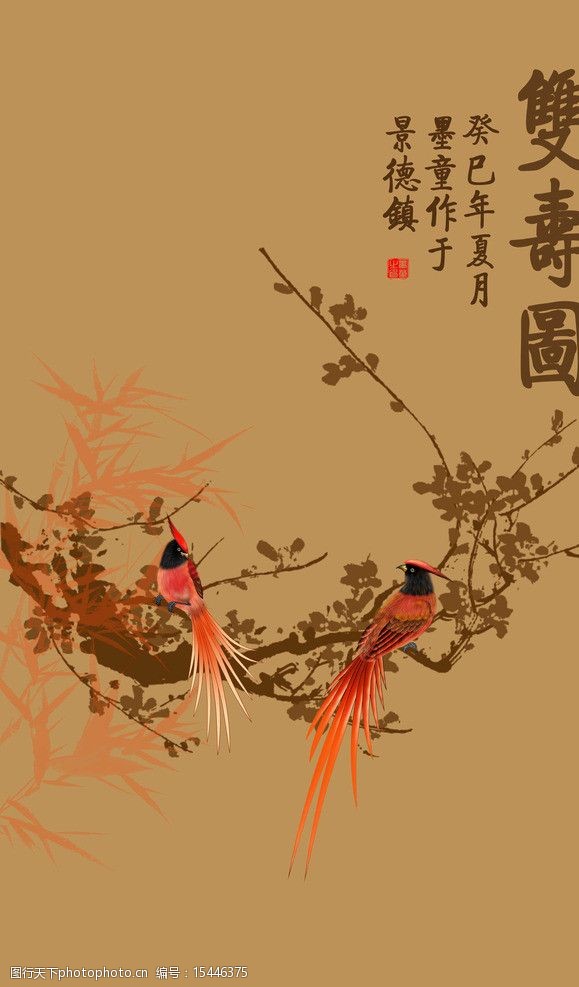 绶带鸟双寿图图片