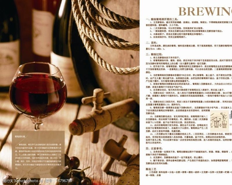 葡萄酒宣传单葡萄酒画册葡萄酒介图片