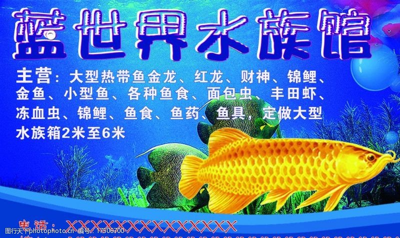 黄金鱼海底水水族馆彩页图片