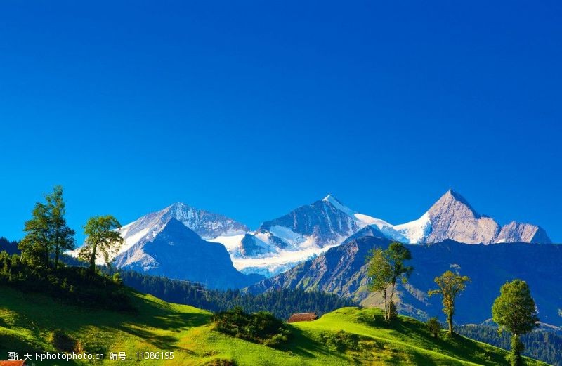 旷野阿尔卑斯山图片