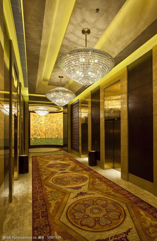 五星级酒店酒店电梯厅图片