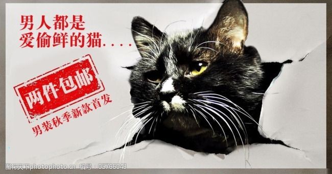 偷腥的猫淘宝两件包邮海报