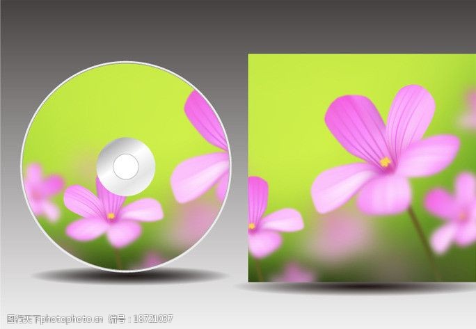 封套模板下载CD光盘封面设计图片