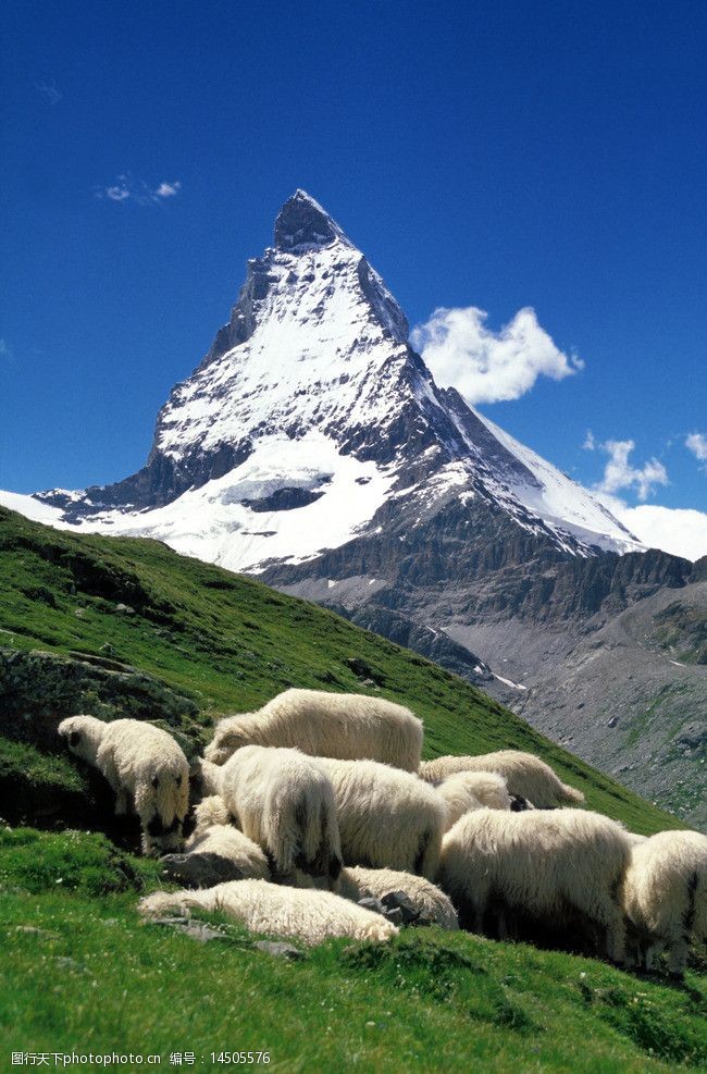 瑞士风光阿尔卑斯山风光图片