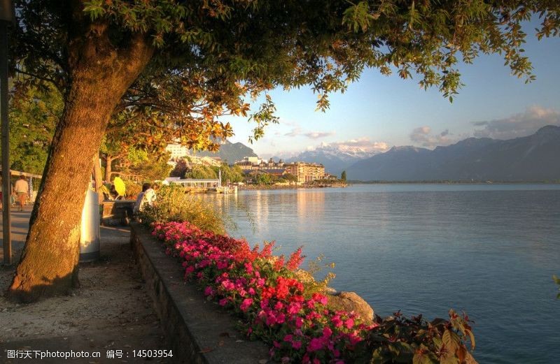 瑞士风光瑞士日内瓦湖图片
