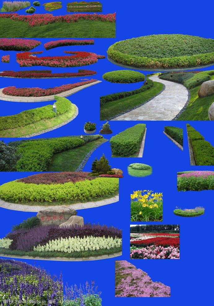 绿化带植物素材图片