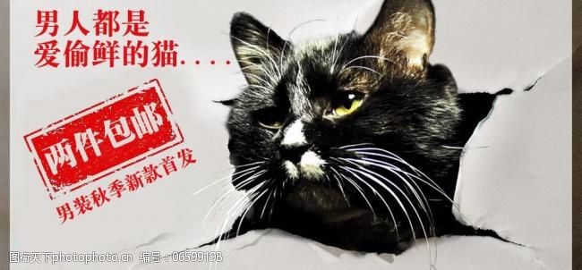 偷腥的猫网页促销广告图片