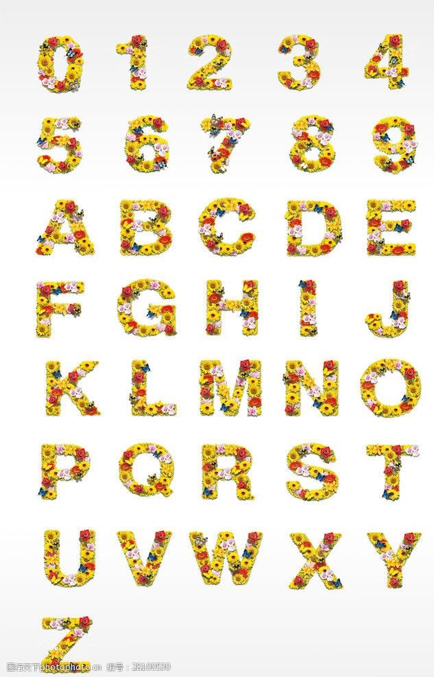 拉丁1花朵拼成的数字字母