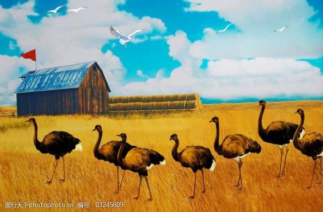 世外桃园模板下载油画风景驼鸟图片