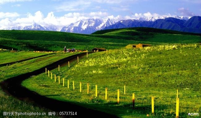 西藏风景免费下载西藏草原风光